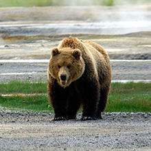Особо охраняемые природные территории Российской Федерации